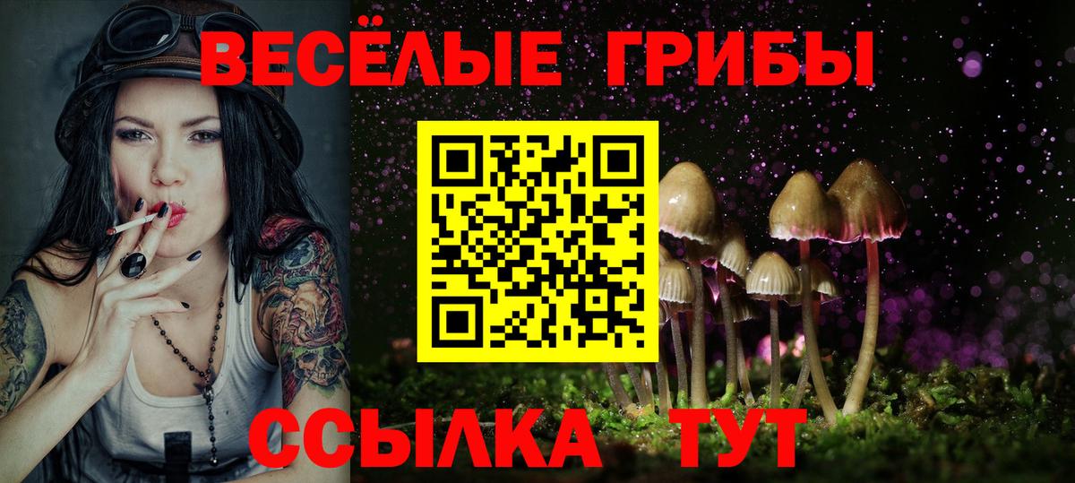 Галлюциногенные грибы прущие грибы Зеленогорск