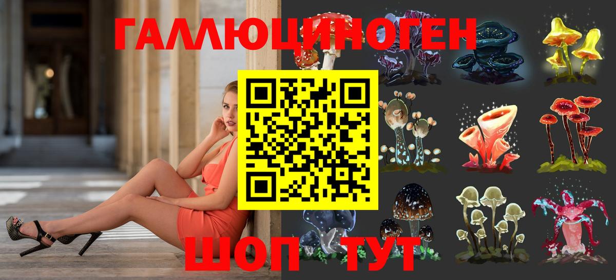 Зеленогорск  Галлюциногенные грибы Psilocybine cubensis  Вход с VPN 